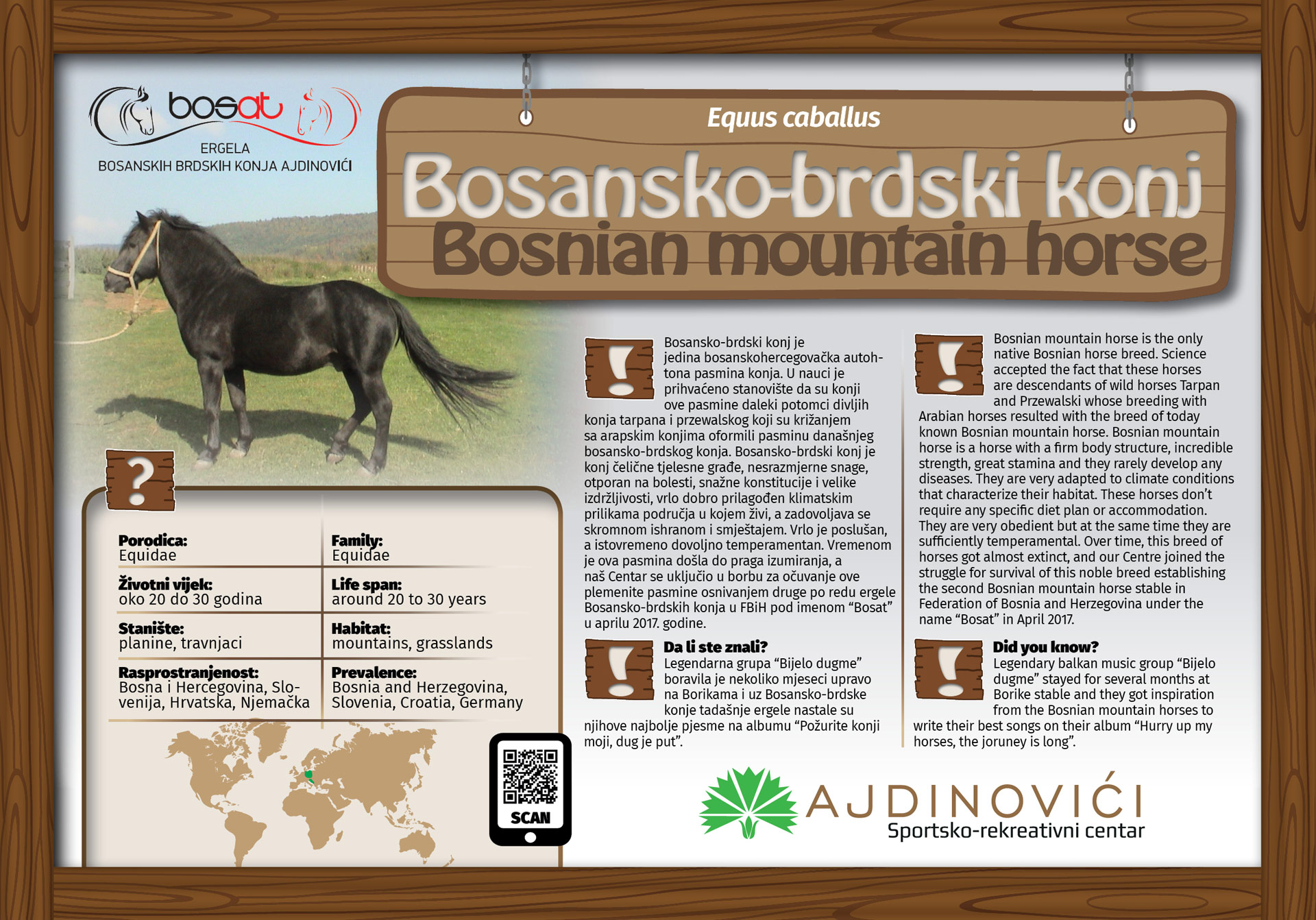Bosanski konj